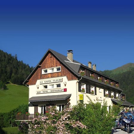 Hotel Le Sapin Fleuri Bourg-dʼOueil Eksteriør billede
