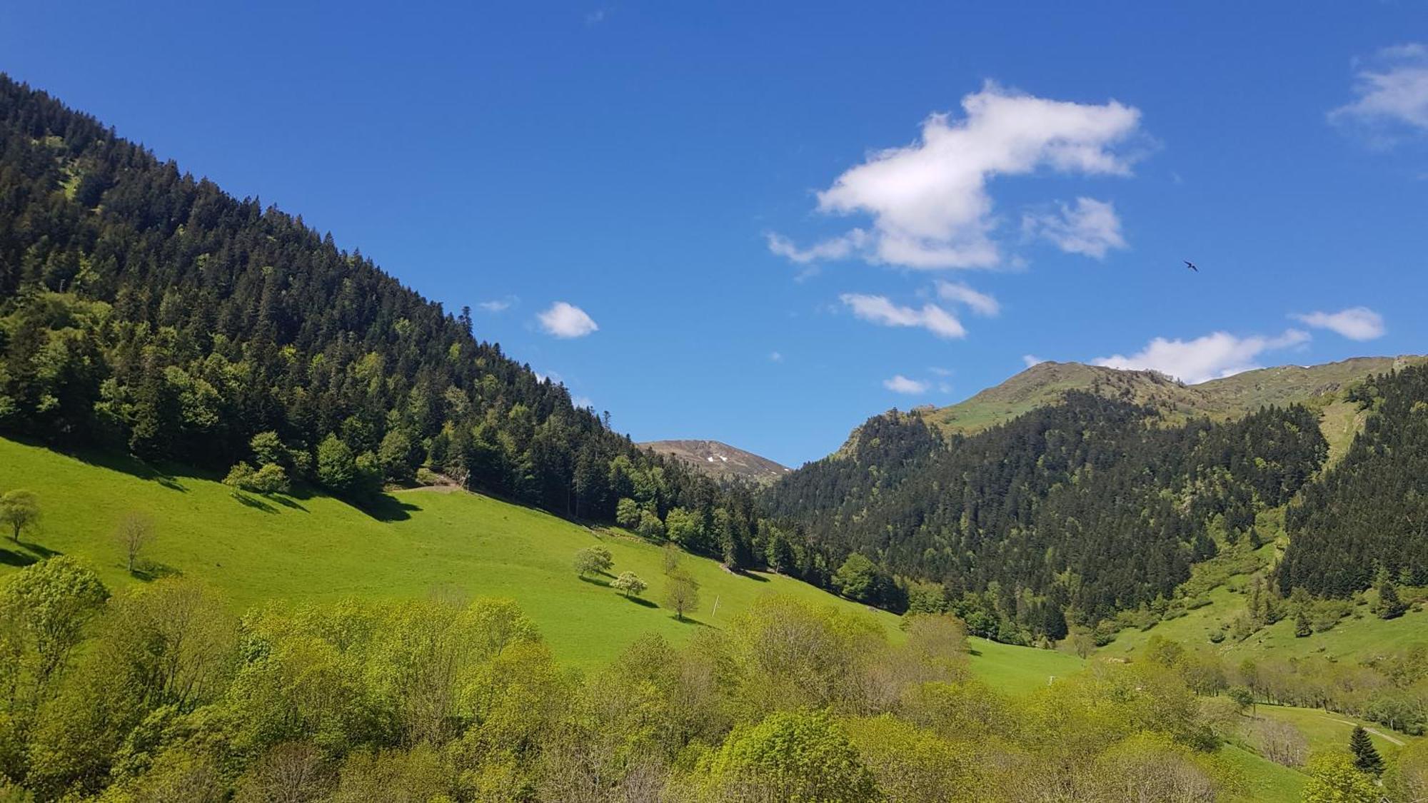 Hotel Le Sapin Fleuri Bourg-dʼOueil Eksteriør billede