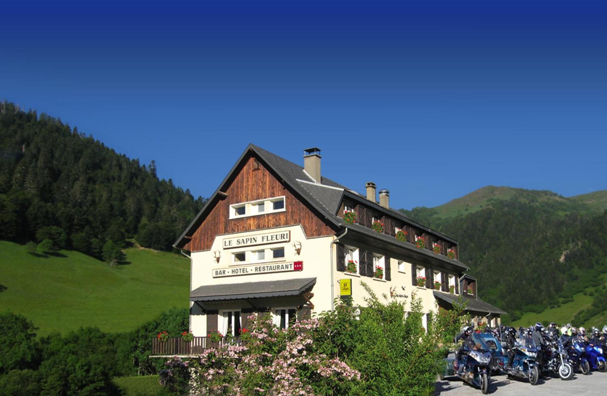 Hotel Le Sapin Fleuri Bourg-dʼOueil Eksteriør billede